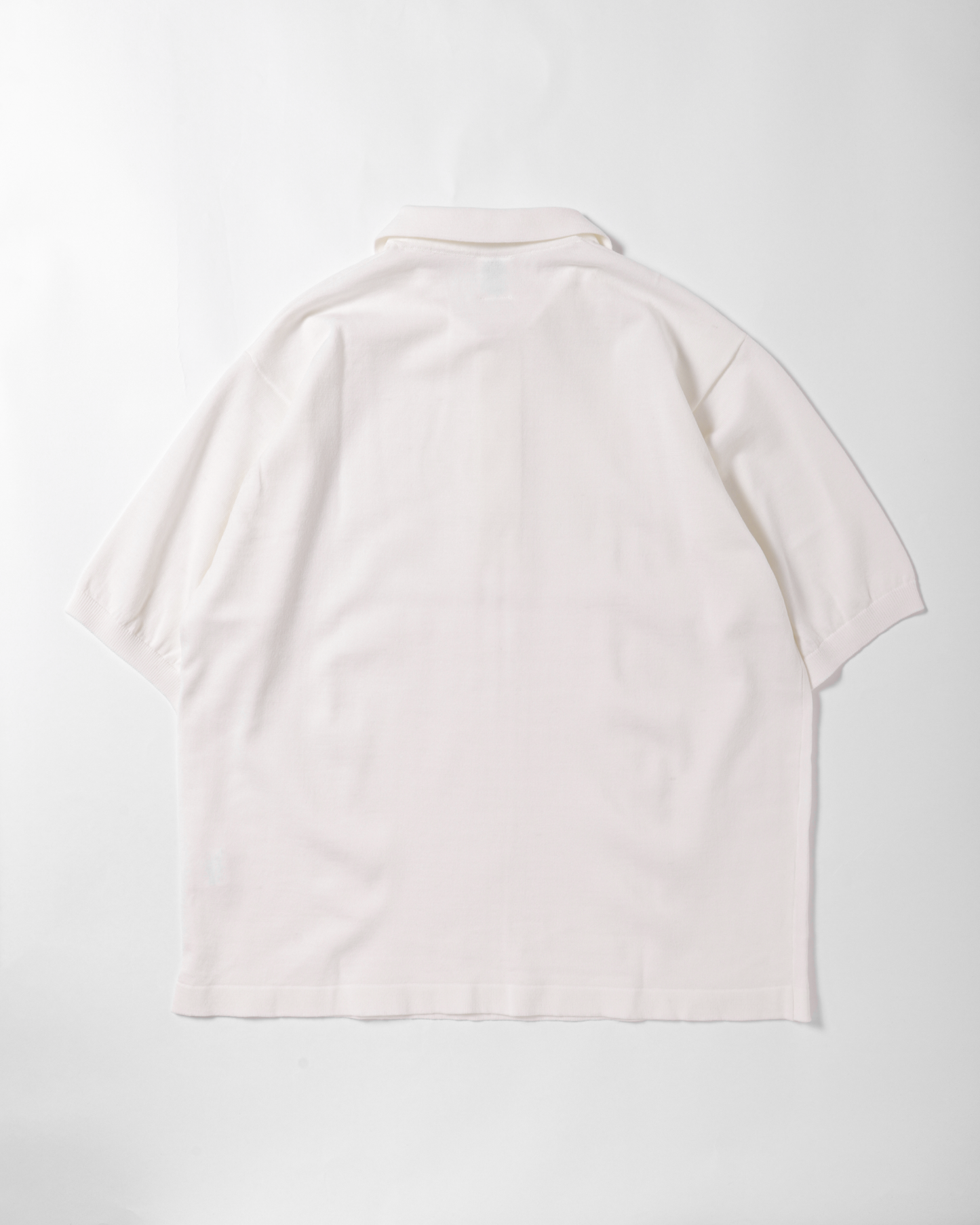 Rugger Knit Polo