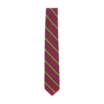 Rep Tie