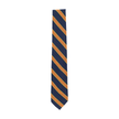 Rep Tie